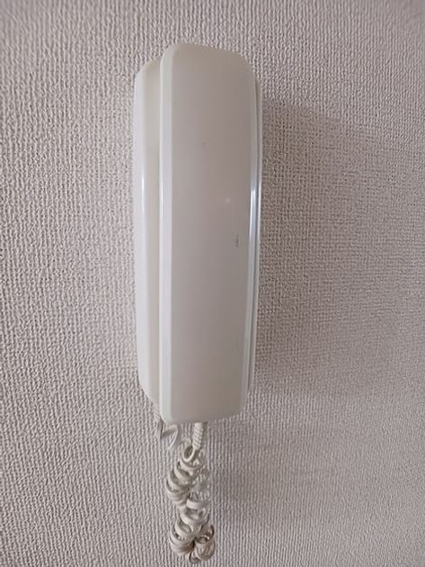 Naikan9 20260616000000 945x630