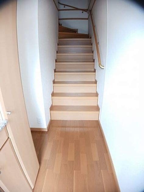 Naikan7 20250423000000 945x630