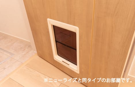 Naikan10 20260521000000