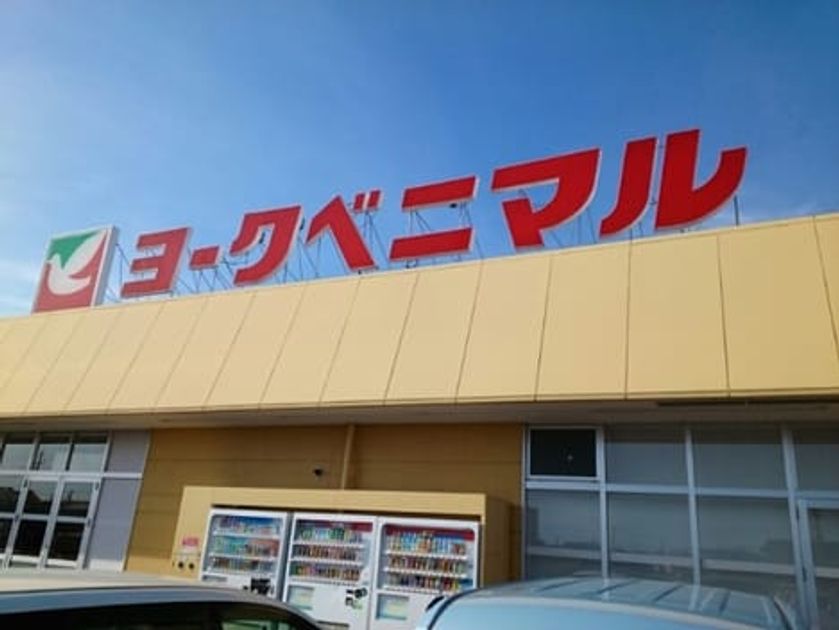 Naikan13 20250314000000 945x630