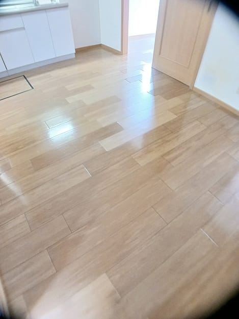 Naikan1 20260903000000
