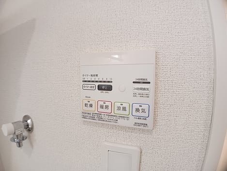 Naikan11 20260629000000