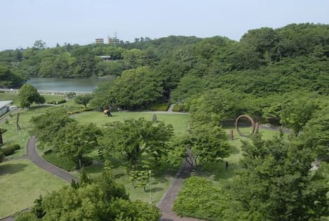 Naikan17 20260513000000