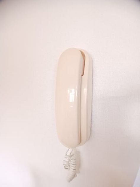 Naikan9 20250226000000 945x630