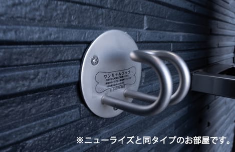 Naikan1 20260603000000