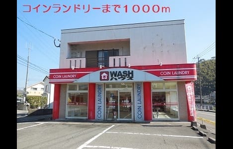 Naikan17 20181108000000