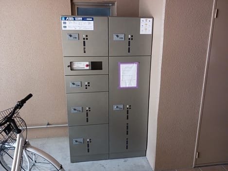 Naikan8 20250219000000