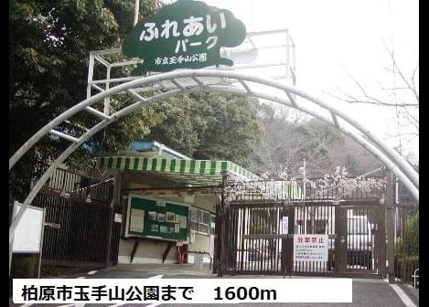 Naikan17 20190211000000