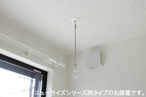 Naikan11 20260608000000