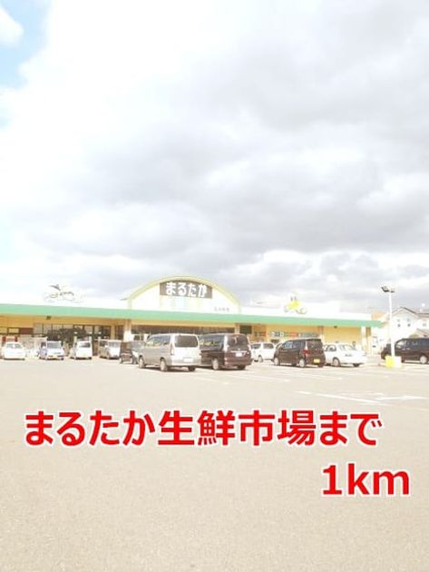 Naikan14 20140124000000 945x630