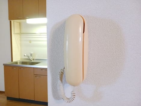 Naikan9 20260824000000