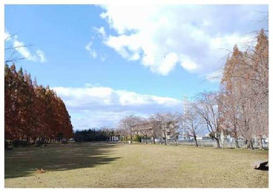 Naikan14 20260611000000 945x630