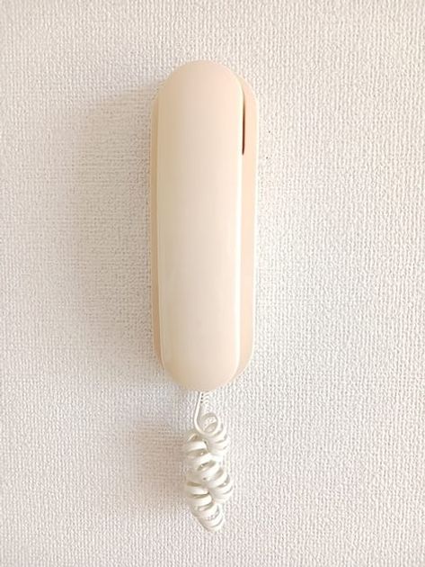 Naikan10 20260821000000 945x630
