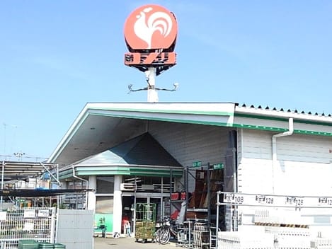 Naikan13 20250619000000