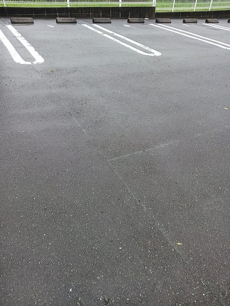 Naikan11 20260907000000