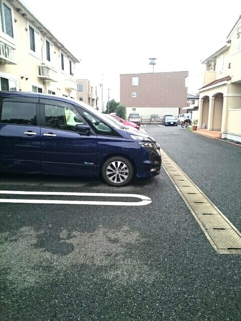 Naikan11 20200614000000