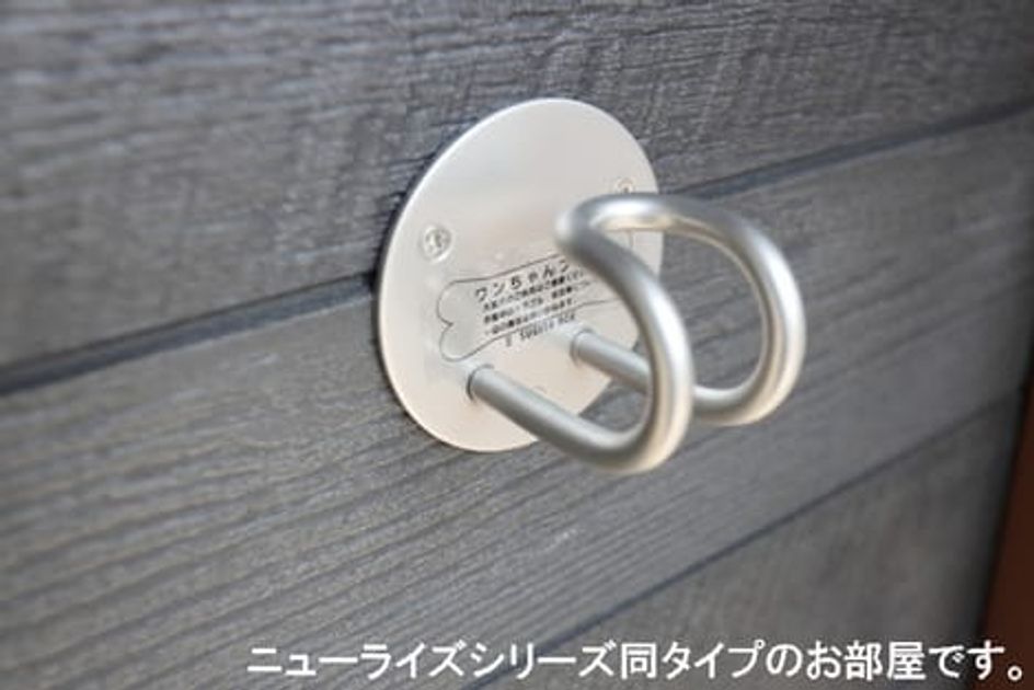 Naikan11 20260105000000 945x630