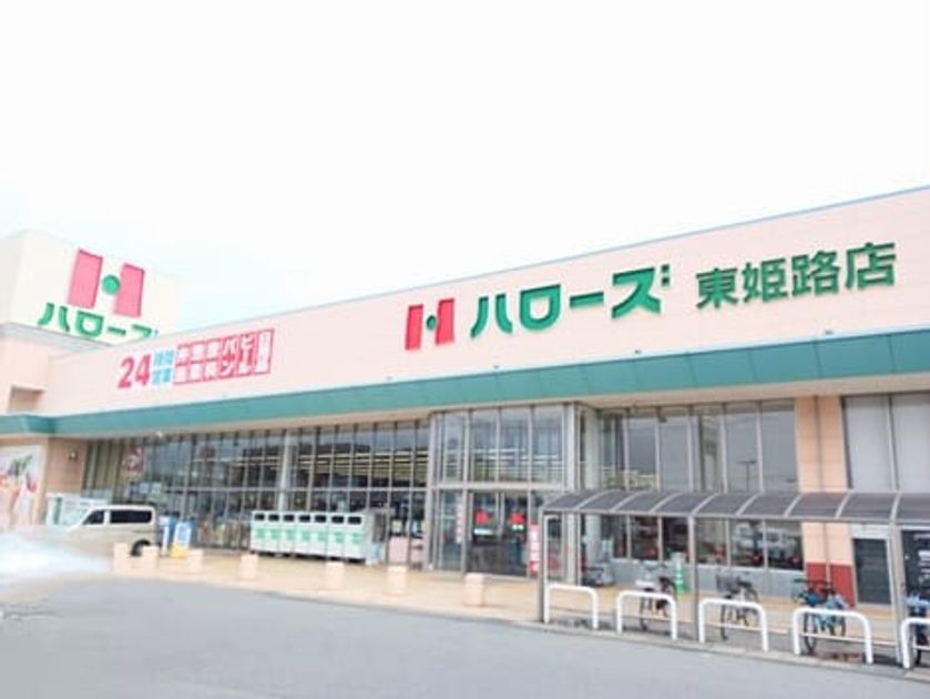 Naikan13 20260508000000 945x630