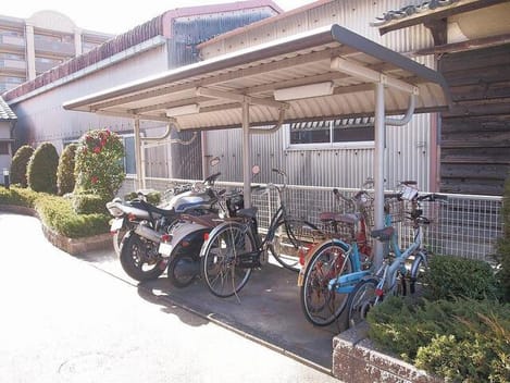 Naikan11 20260731000000