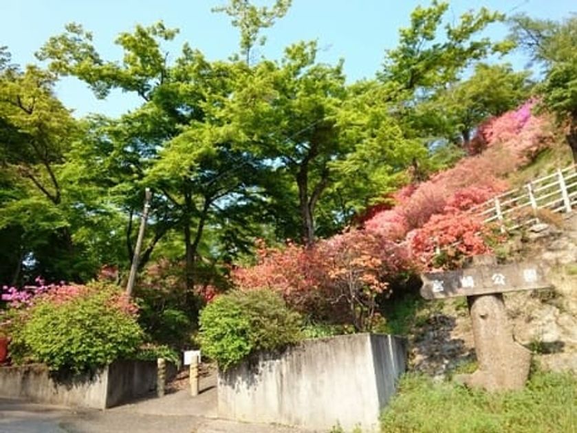 Naikan13 20200928000000 945x630