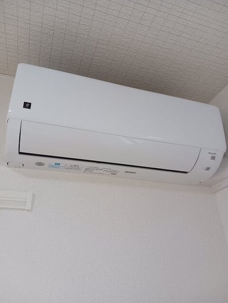 Naikan11 20250908000000