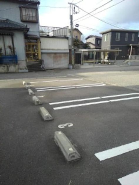 Naikan11 20201208000000 945x630
