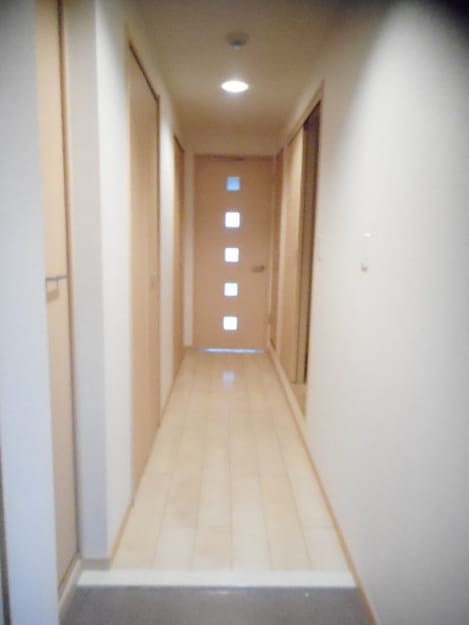 Naikan7 20190329000000