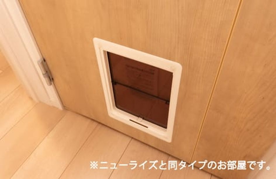 Naikan10 20260615000000 945x630