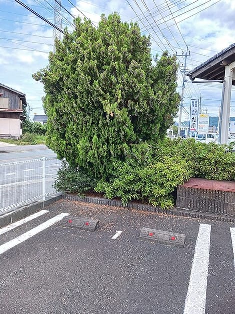 Naikan10 20260918000000