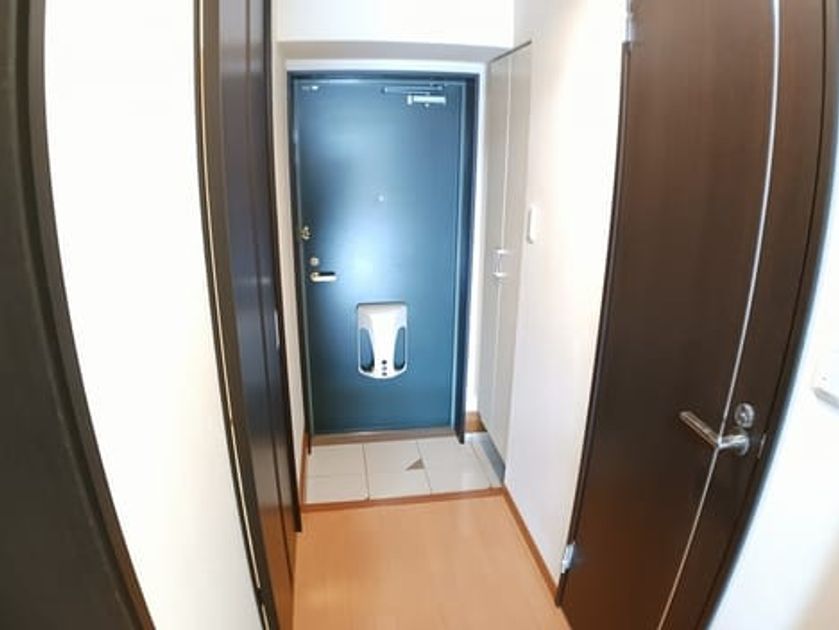 Naikan7 20250401000000 945x630
