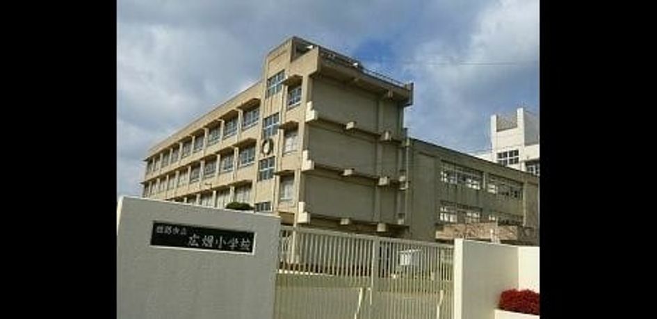 Naikan17 20250515000000 945x630