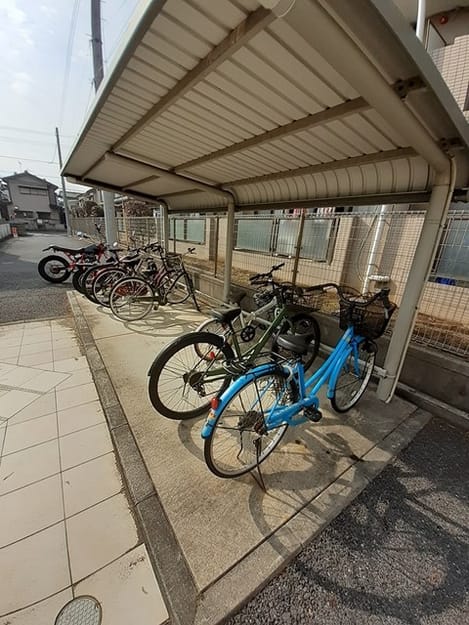 Naikan10 20240123000000