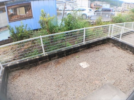 Naikan9 20241015000000
