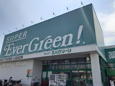 Naikan14 20241012000000