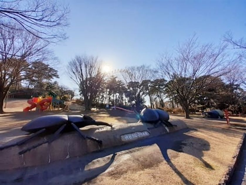 Naikan16 20241226000000 945x630