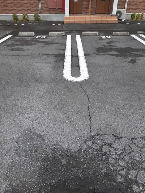 Naikan11 20220415000000