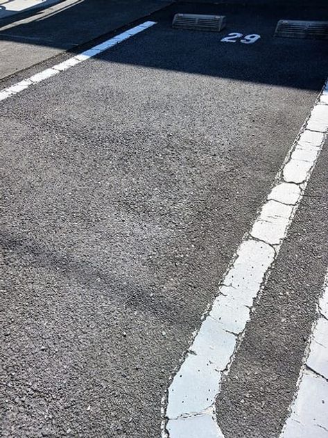 Naikan11 20261001000000 945x630
