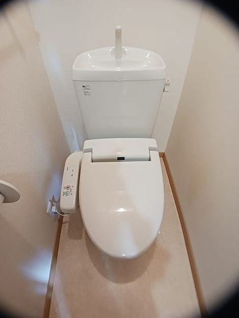 Naikan8 20261001000000 945x630