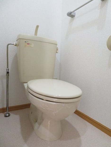 Naikan9 20190201000000