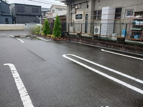 Naikan10 20241029000000