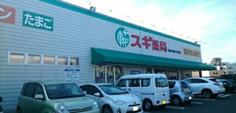 Naikan13 20210318000000 945x630