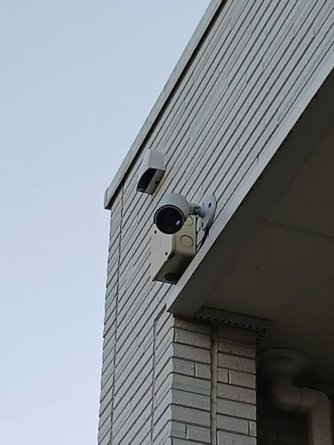 Naikan10 20241111000000 945x630