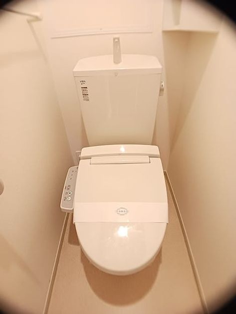 Naikan8 20261027000000 945x630