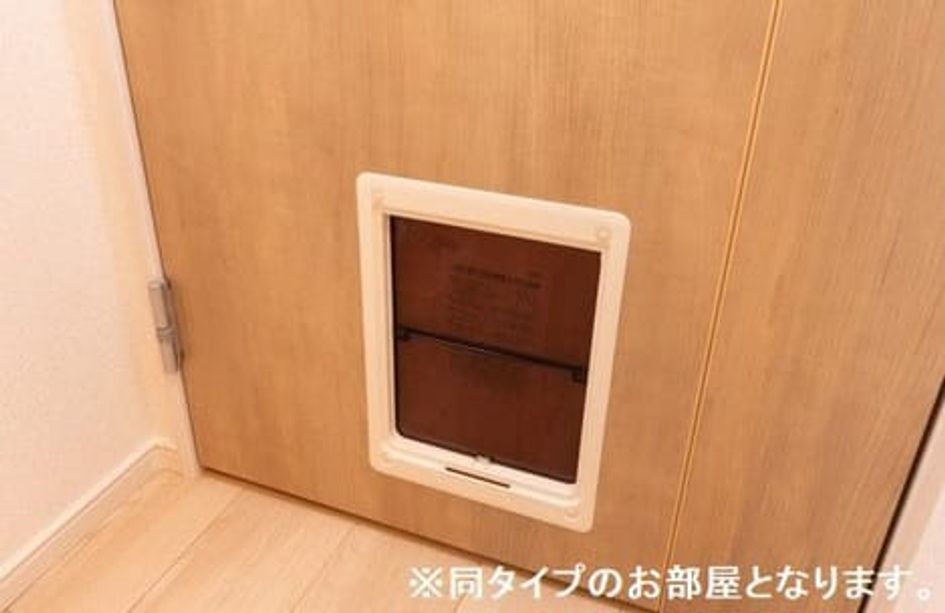 Naikan11 20260831000000 945x630