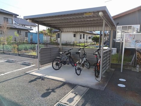 Naikan11 20260904000000