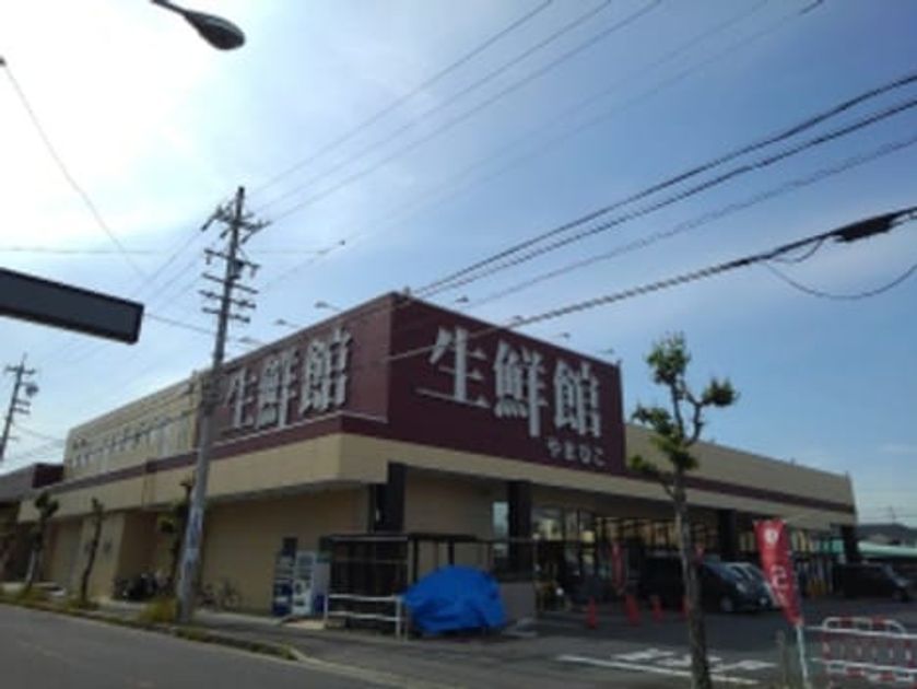 Naikan13 20200903000000 945x630