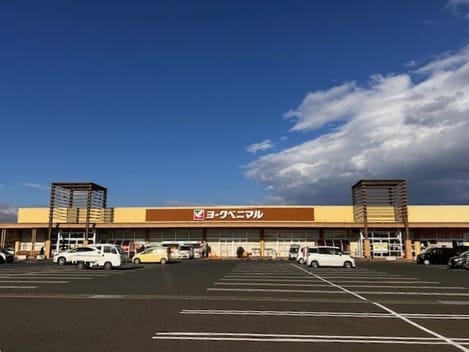 Naikan16 20260127000000
