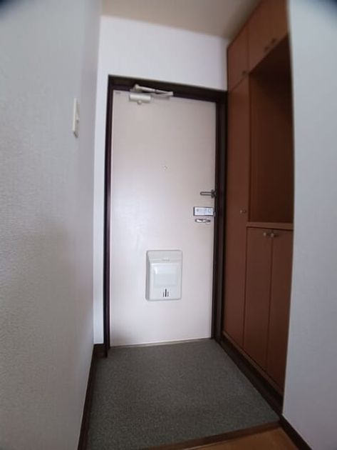 Naikan12 20260227000000 945x630