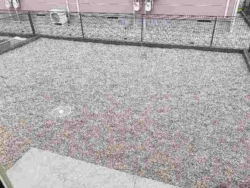 Naikan9 20221003000000 945x630