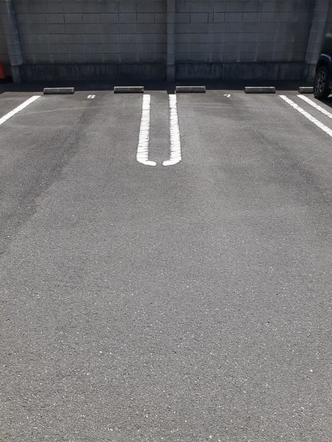 Naikan11 20230106000000